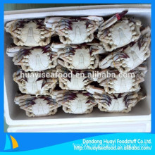 factory provide excellent whole round blue swimming crab